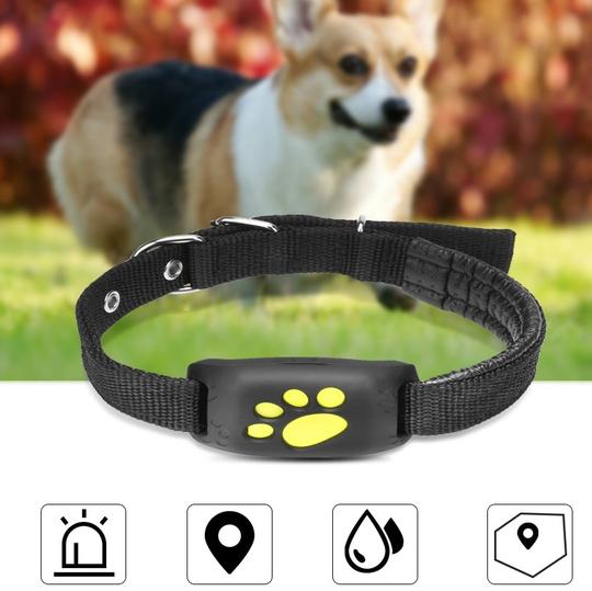 Smart GPS Pet Tracker